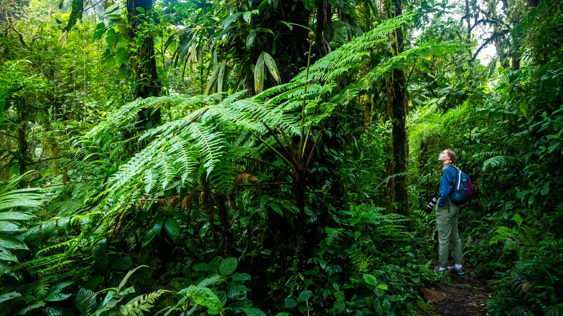 Mietwagentour Costa Rica